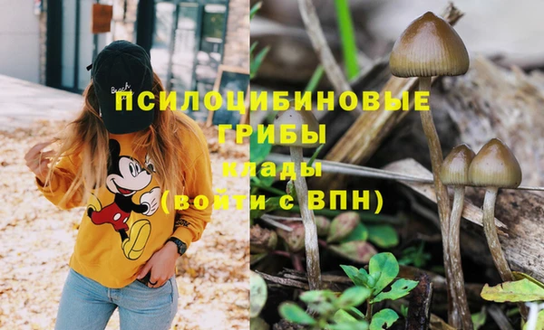 винт Балабаново