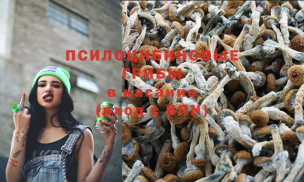 винт Балабаново