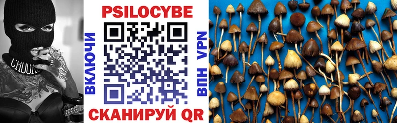 Галлюциногенные грибы Psilocybe  купить наркотики цена  Суздаль 