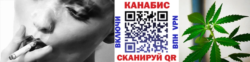 МАРИХУАНА семена  Суздаль 